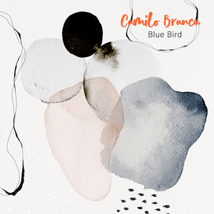 柴郡主后门被高衙内毁了是哪一集
