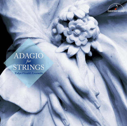 柴郡主后门被高衙内毁了是哪一集
